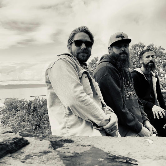 Sun Dog Organ Trio